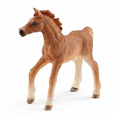 Σετ Αγγλικού Καθαρόαιμου Αλόγου και Παιδιού, Schleich Ηλικία: 3+ Μέγεθος: 19x11.5x5.3 εκ.