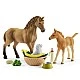 Σετ φοράδα με πουλάρι και παιδί, Schleich Ηλικία: 3+ Μέγεθος: 19x14.5x6 εκ.