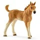 Σετ φοράδα με πουλάρι και παιδί, Schleich Ηλικία: 3+ Μέγεθος: 19x14.5x6 εκ.