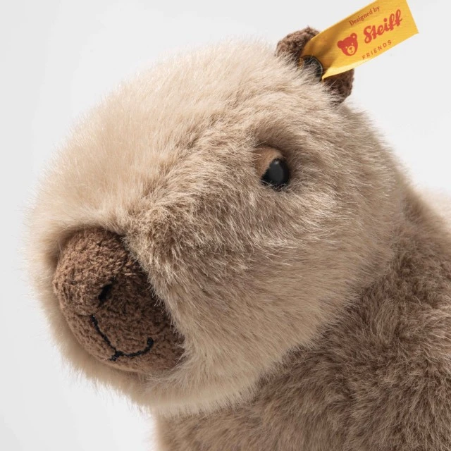Μέγεθος Capybara Chip: 23 εκ. Τάξη: Φίλοι