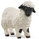 Ειδώλιο προβάτου με μαύρη μύτη, Schleich Ηλικία: 3+ Μέγεθος: 9x2x6 εκ.
