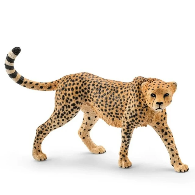 Φιγούρα γατόπαρδου, Schleich Ηλικία: 3+ Μέγεθος: 10x5x2εκ.