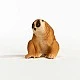 Φιγούρα Slow Loris, Schleich Ηλικία: 3+ Μέγεθος: 3.2x2.8x3.5 εκ.