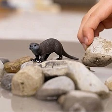 Ειδώλιο βίδρας, Schleich Ηλικία: 3+ Μέγεθος: 7,5x2x2,5 cm