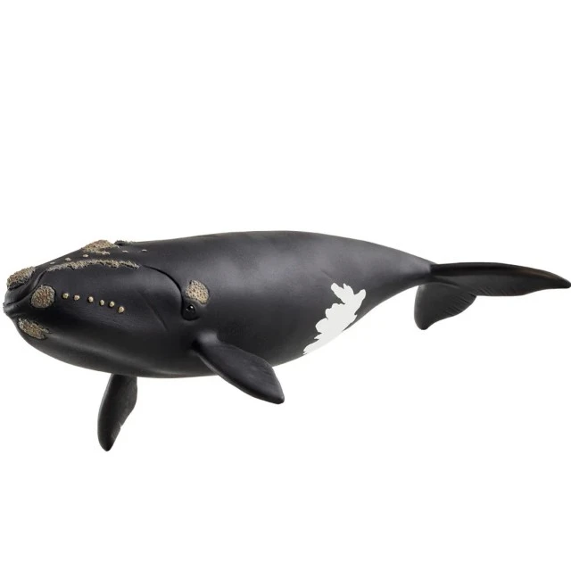Ειδώλιο Φάλαινας Βισκαϊκής, Schleich Ηλικία: 3+ Μέγεθος: 19.5x9.7x4.5cm