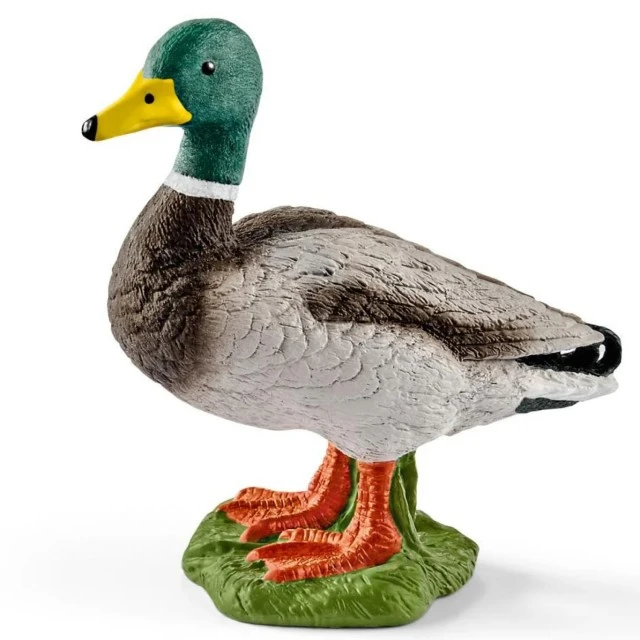 Φιγούρα Πάπιας Αγριόπαπια, Schleich Ηλικία: 3+ Μέγεθος: 3.1x4.2x3.3cm