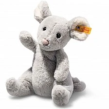 Τυρένιο ποντίκι Μέγεθος: 19 εκ. Τάξη: Φίλοι