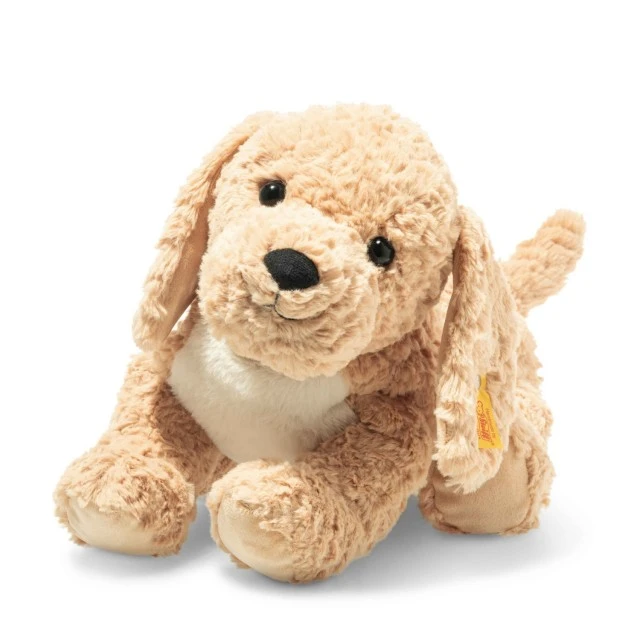 Μέγεθος Berno Goldendoodle: 36 εκ. Τάξη: Φίλοι