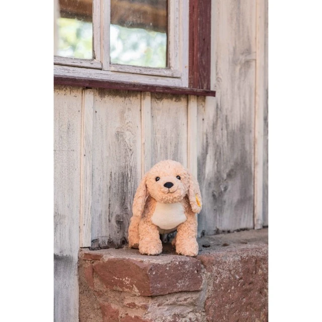 Μέγεθος Berno Goldendoodle: 36 εκ. Τάξη: Φίλοι