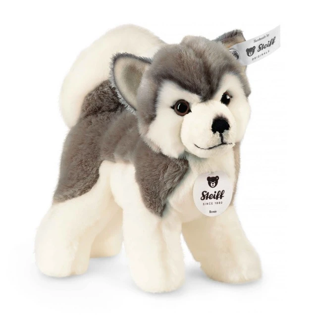 Μέγεθος Bernie husky: 17 εκ.
