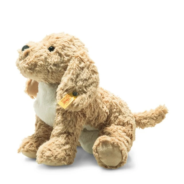 Μέγεθος Berno Goldendoodle: 26 εκ. Τάξη: Φίλοι