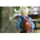 LittleLife L10814 σακίδιο δεινόσαυρος 2 λ.