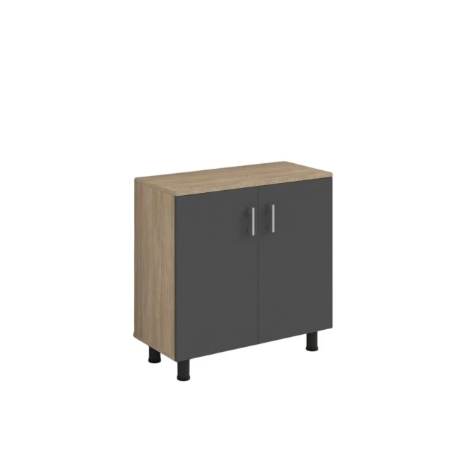 Ντουλάπι RFG, 800 x 400 x 850 mm, δρυς sonoma και γραφίτης