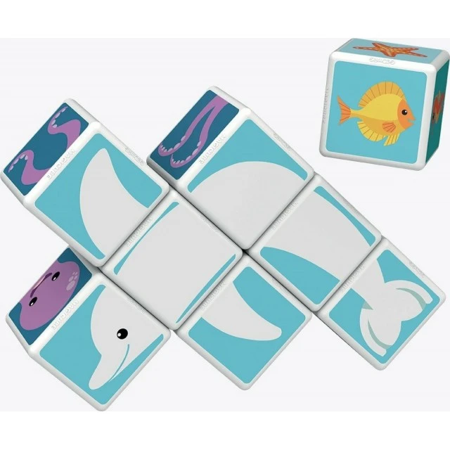 Magicube Magnetic Construction Set, Sea Animals and Cards 146, 11 Pieces