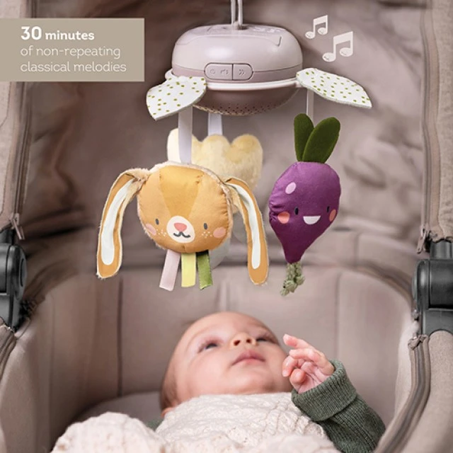 Διαδραστικό παιχνίδι, Taf Toys, Μουσικός Κήπος