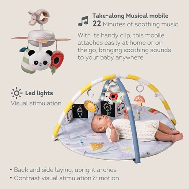 Μουσική γυμναστική, Taf Toys, με φώτα LED