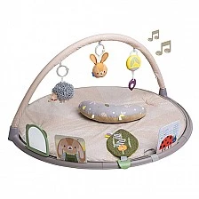 Μουσική ενεργή γυμναστική, Taf Toys, Bunny Jenny και φίλοι, 6 δραστηριότητες