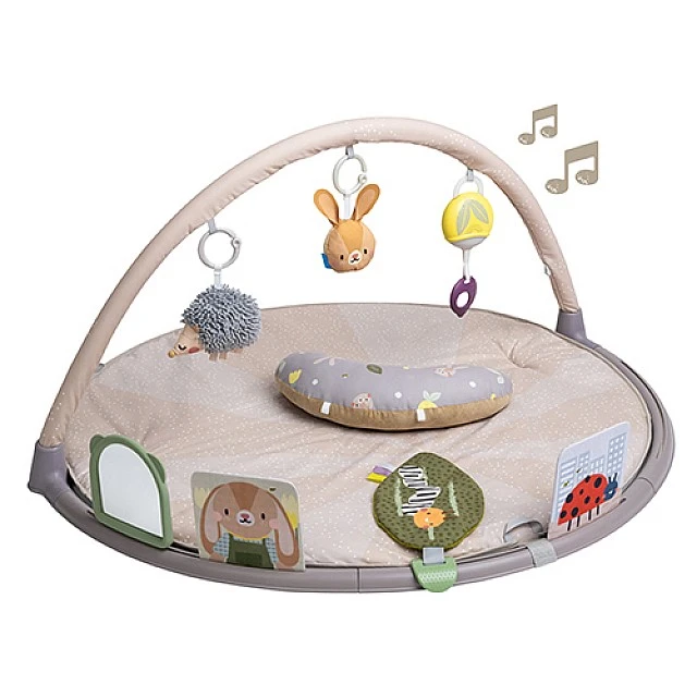 Μουσική ενεργή γυμναστική, Taf Toys, Bunny Jenny και φίλοι, 6 δραστηριότητες