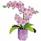 Παζλ 3D, Floral Art, Educa, Orchid