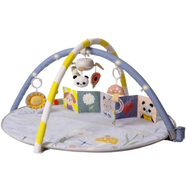Μουσική γυμναστική, Taf Toys, με φώτα LED