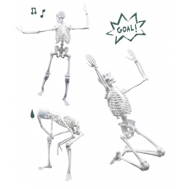 Εκπαιδευτικό παιχνίδι, Buki France, Skeleton, 45 cm