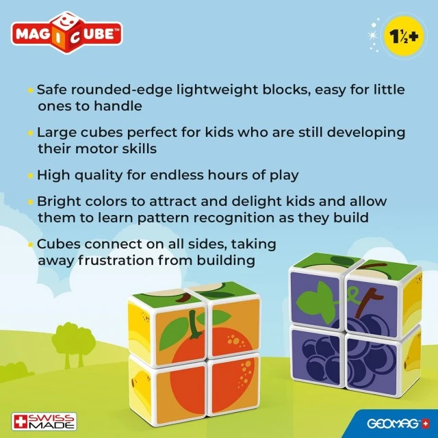 Magicube Magnetic Construction Set, Fruits and Cards 131, 11 Pieces