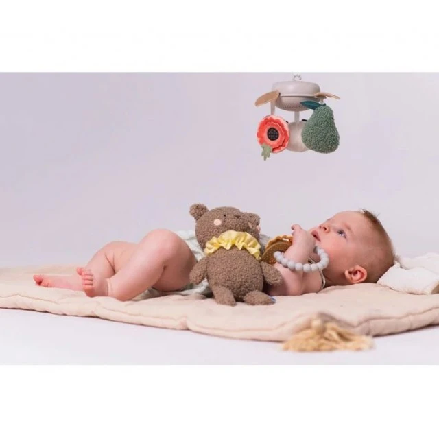 Σετ παιχνιδιών για μωρά, Taf Toys, Πολυτελές σετ νεογέννητων, 4 τεμάχια