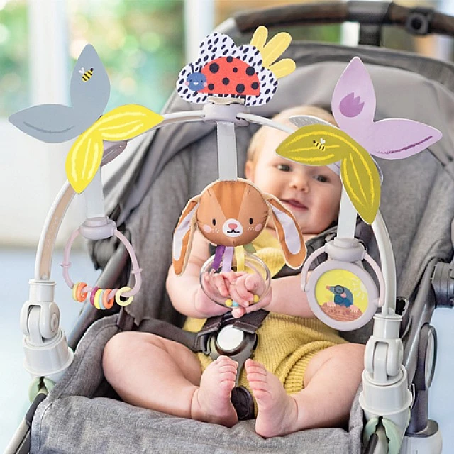 Αψίδα διασκεδαστικής δραστηριότητας, Taf Toys