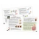 Εκπαιδευτικό Mini Lab Kit, Crazy Experiments, 12 τεμάχια