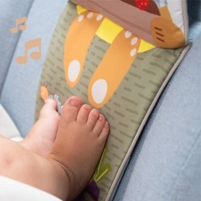 Baby Car Toy, Taf Toys, Jenny Bunny