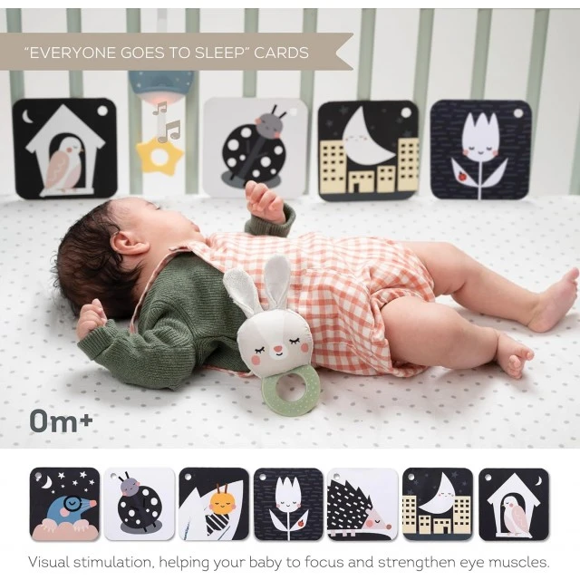 Σετ Taf Toys Time to Sleep Newborn, 12 τεμαχίων