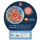 Εκπαιδευτικό παζλ δαπέδου, Hape, The Center of the Earth, 57,5 cm, 36 τεμάχια