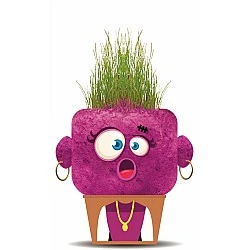 Uncle Grass, Hape, Surprised Sandra