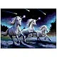 Puzzle Shooting Stars, Ann Stokes, 1000 τεμάχια