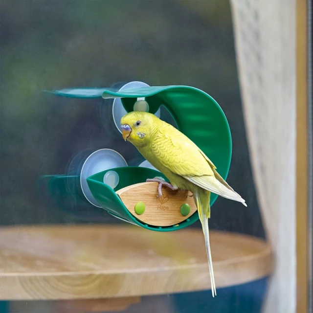 Εκπαιδευτικό παιχνίδι, Hape, Window Bird Feeder