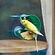 Εκπαιδευτικό παιχνίδι, Hape, Window Bird Feeder