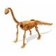 Dinosaurs - Dino Set - Brachiosaurus