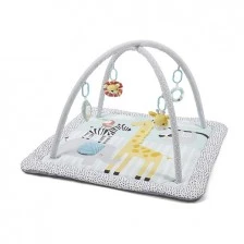 Ενεργητική γυμναστική