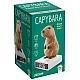 Ψηφιακό ξυπνητήρι με φως, Lisciani, Rainy Days, Capybara Friend