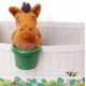 Horse Care Kit - Feed and Groom