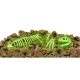 Το T-Rex λάμπει στο σκοτάδι
