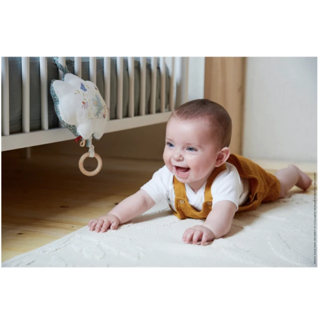 Μουσικό παιχνίδι PETITES CHANSONS Green Mouse