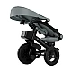 Kinderkraft AVEO 2 Plus τρίκυκλο GREY