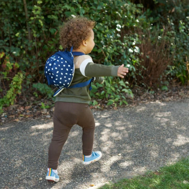 Σακίδιο πλάτης LittleLife L10816 2 l.