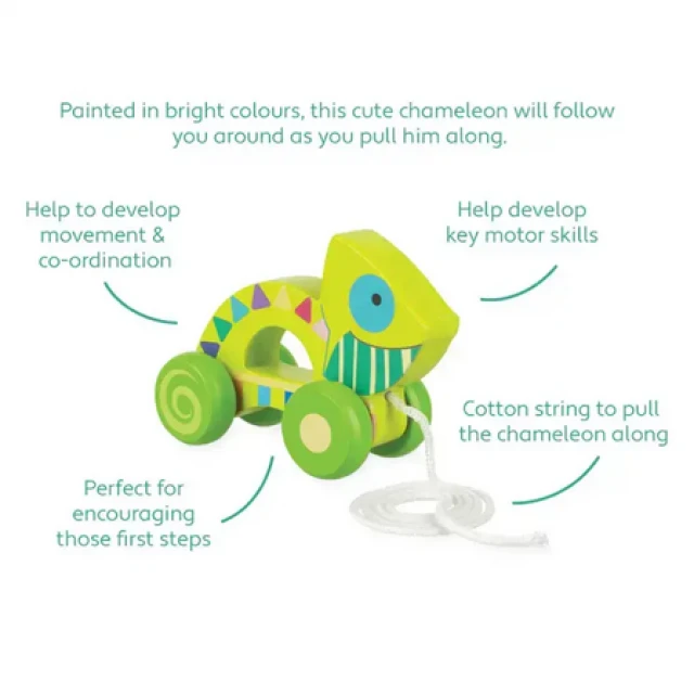 Chameleon Pull Toy - Ζώα της Ζούγκλας