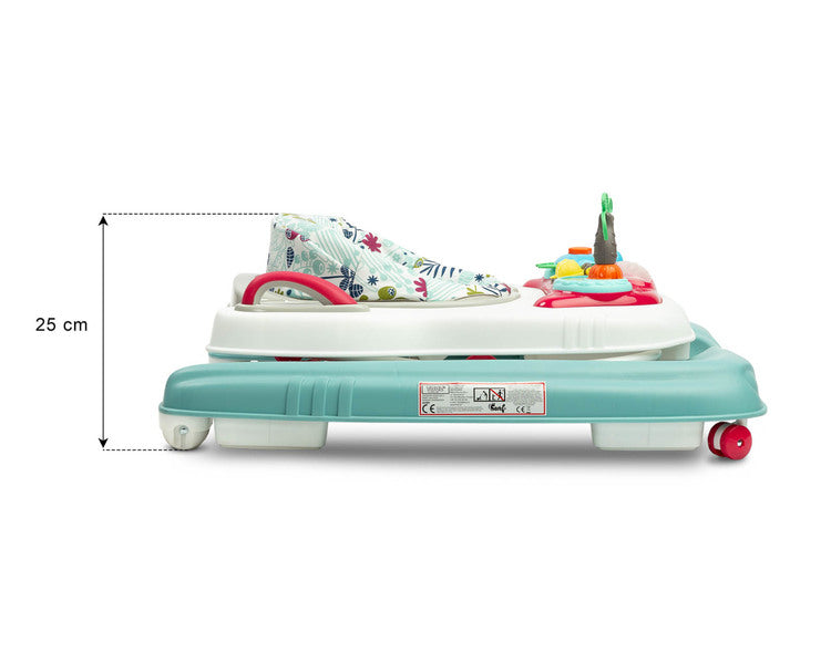 Проходилка Surf Fly Caretero Toyz