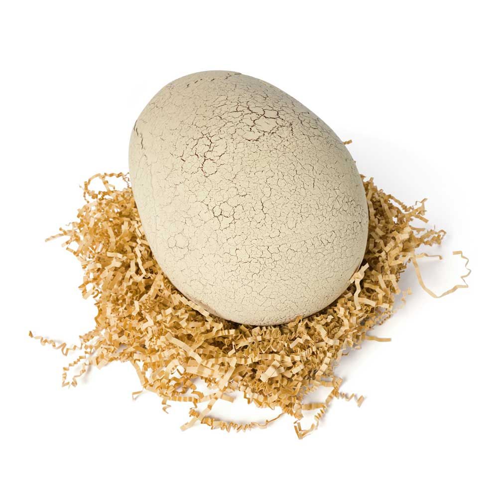 Primal Hatch Interactive T Rex σε Egg