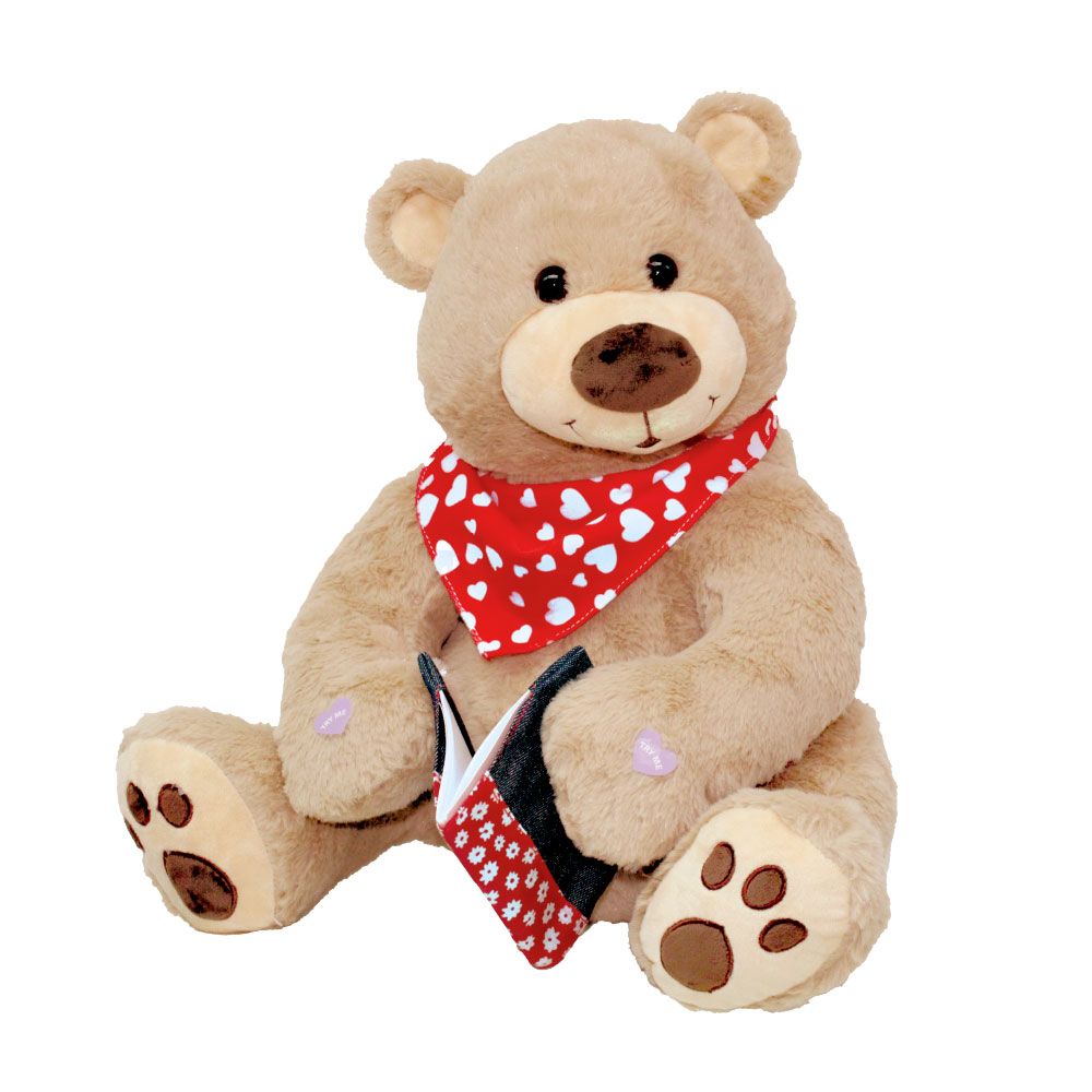 Max Bear Storyteller με βιβλίο ζωγραφικής