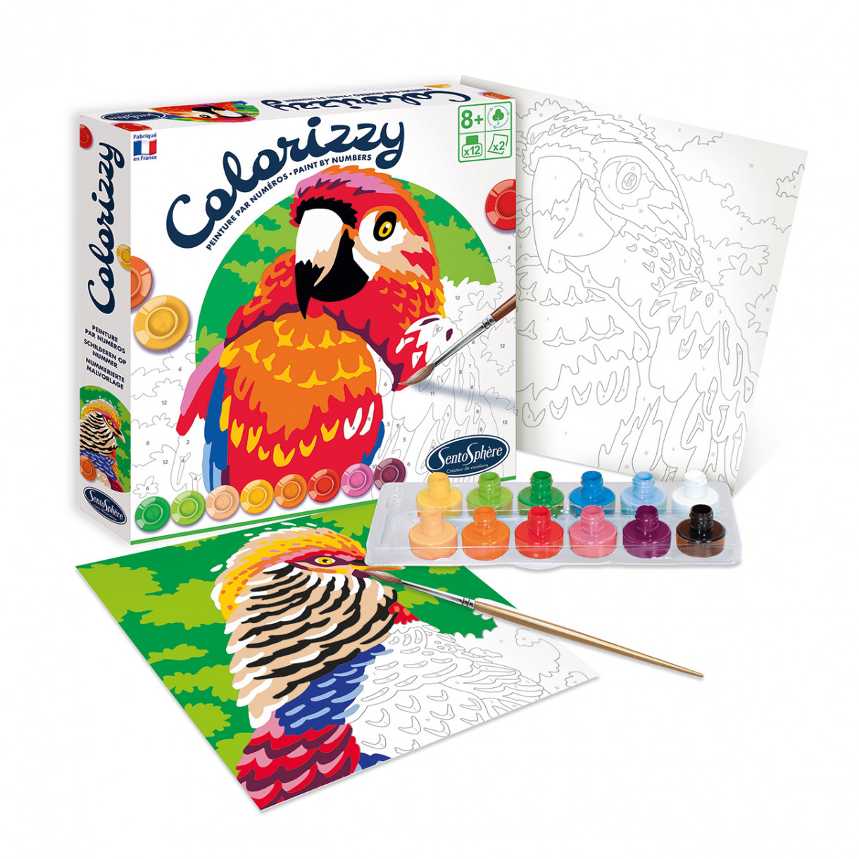 Χρώμα κατά αριθμό παπαγάλων