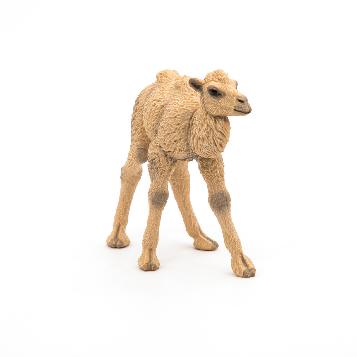 Ειδώλιο καμήλας